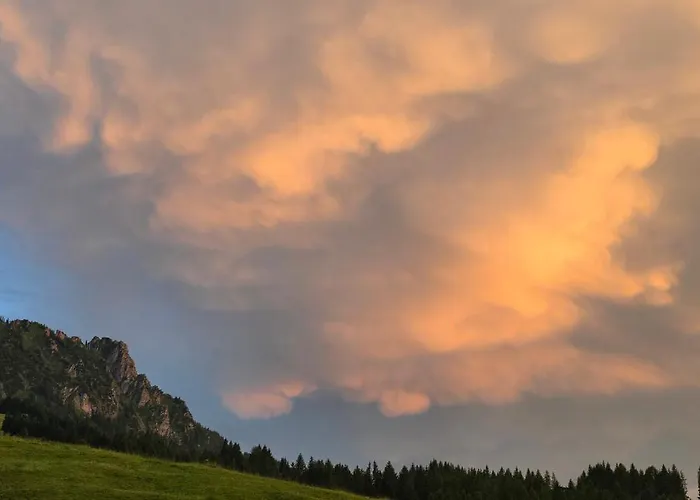 Erd's Hoimatle Oda ve Kahvaltı Jungholz