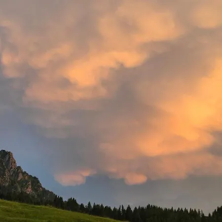 Erd's Hoimatle Oda ve Kahvaltı Jungholz